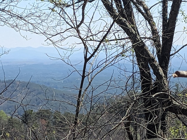1 Kimsey Mountain Highway, Turtletown, TN 37391