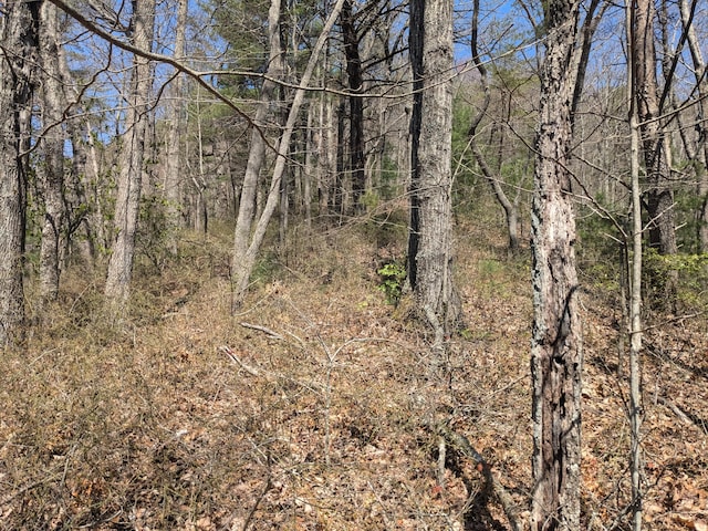 1 Kimsey Mountain Highway, Turtletown, TN 37391
