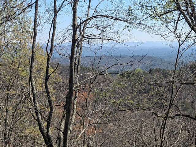 1 Kimsey Mountain Highway, Turtletown, TN 37391