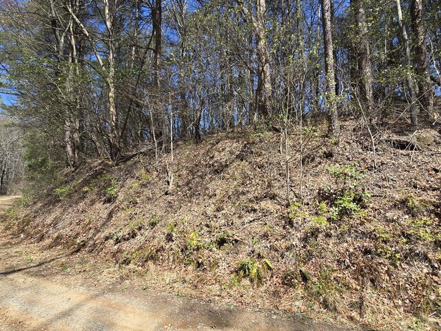 1 Kimsey Mountain Highway, Turtletown, TN 37391