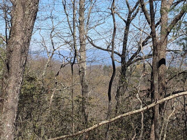 1 Kimsey Mountain Highway, Turtletown, TN 37391