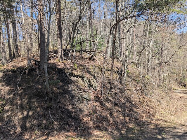 1 Kimsey Mountain Highway, Turtletown, TN 37391