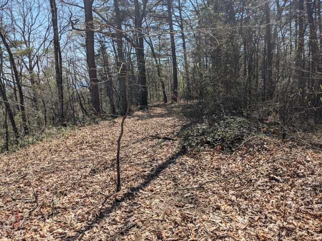 1 Kimsey Mountain Highway, Turtletown, TN 37391
