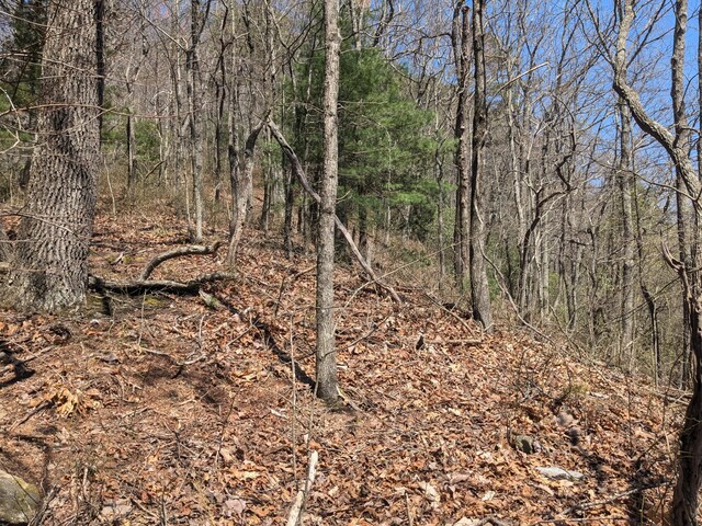 1 Kimsey Mountain Highway, Turtletown, TN 37391