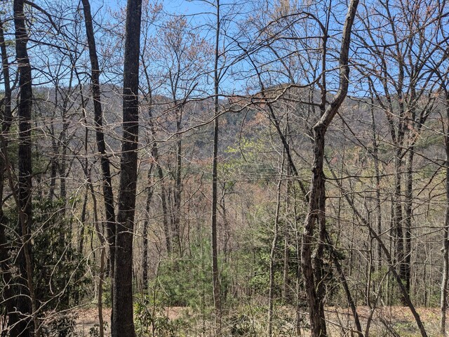 1 Kimsey Mountain Highway, Turtletown, TN 37391