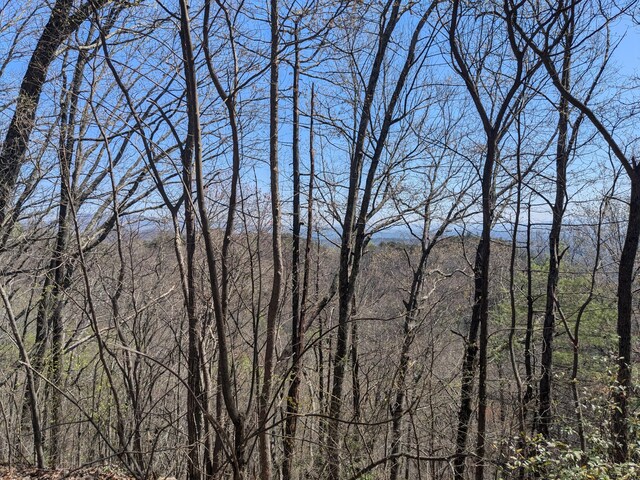 1 Kimsey Mountain Highway, Turtletown, TN 37391