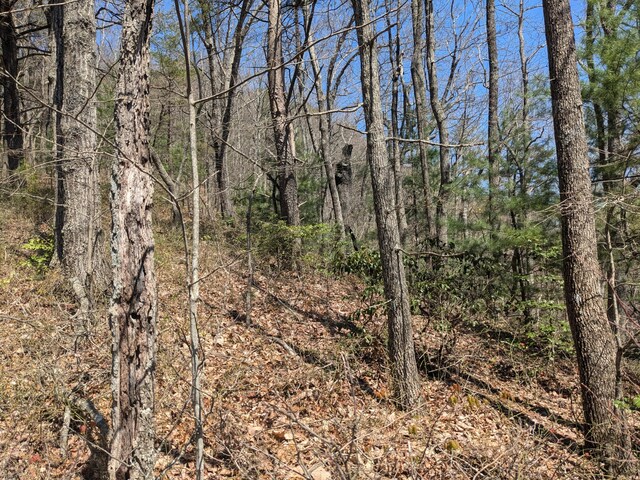 1 Kimsey Mountain Highway, Turtletown, TN 37391
