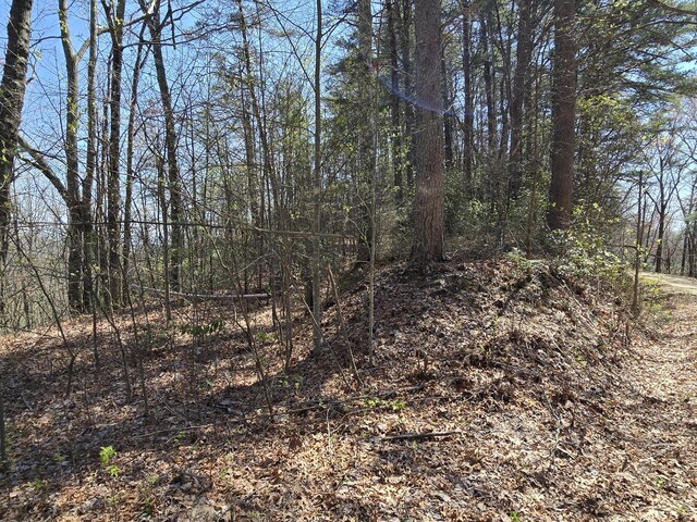 1 Kimsey Mountain Highway, Turtletown, TN 37391