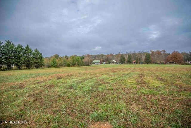 view of yard featuring a rural view