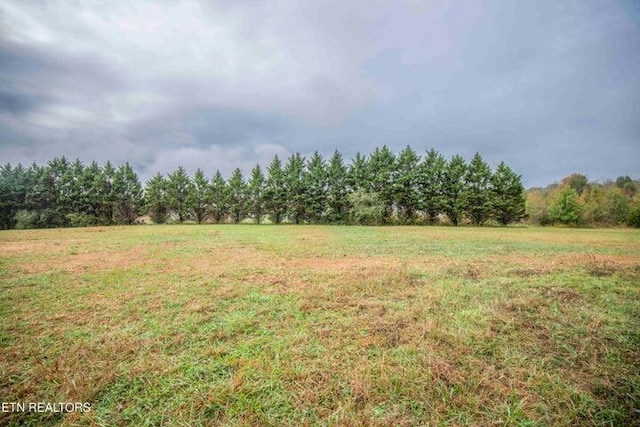 view of yard featuring a rural view