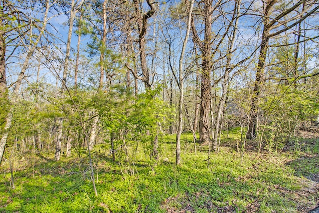 165 Brokenwood Ln, Crossville TN, 38558 land for sale