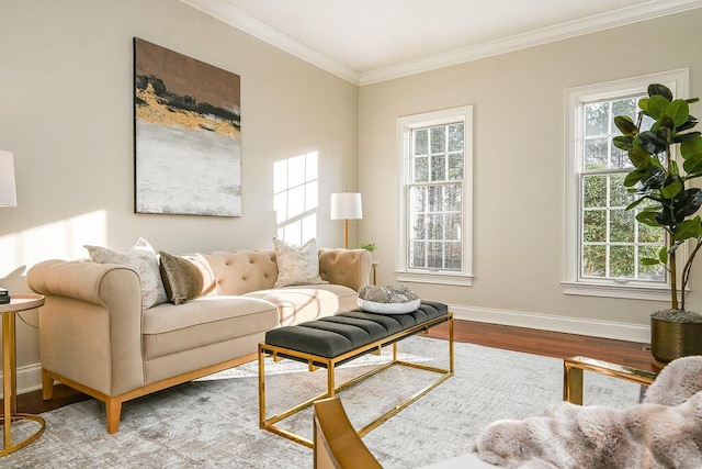 living area featuring baseboards, plenty of natural light, wood finished floors, and crown molding