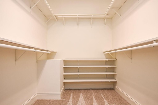 spacious closet with light carpet