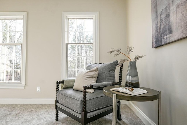 living area featuring carpet floors, a healthy amount of sunlight, and baseboards