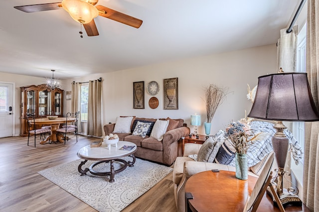 living room with plenty of natural light, ceiling fan with notable chandelier, and light wood-type flooring