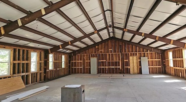 miscellaneous room featuring lofted ceiling