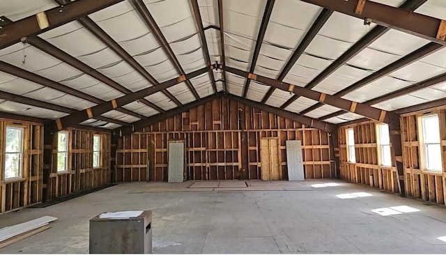 miscellaneous room featuring lofted ceiling