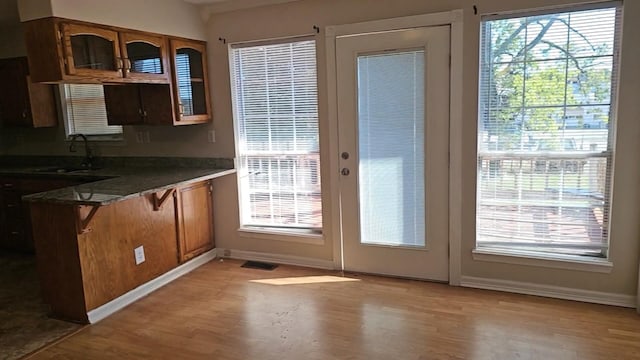 doorway with plenty of natural light, light hardwood / wood-style floors, and sink