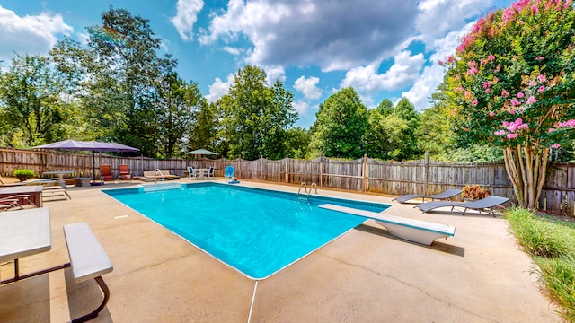 view of swimming pool with a diving board and a patio area