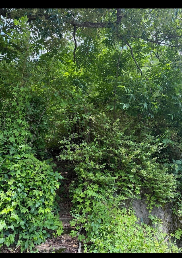 365 Fair St SE, Cleveland, TN 37311 - photo 1