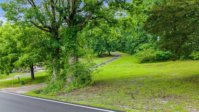 1426 Nebo Rd, Ten Mile, TN 37880 - view of home's community featuring a lawn