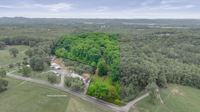 1426 Nebo Rd, Ten Mile, TN 37880 - view of property location with property parcel outlined and a forest