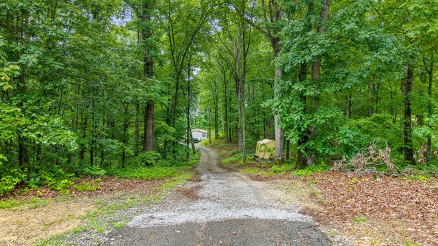 1426 Nebo Rd, Ten Mile, TN 37880 - photo 4