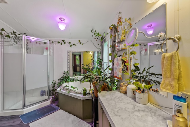 1426 Nebo Rd, Ten Mile, TN 37880 - full bath with a stall shower and vanity
