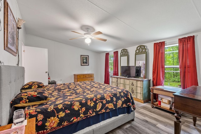 1426 Nebo Rd, Ten Mile, TN 37880 - bedroom featuring light wood-style floors and ceiling fan