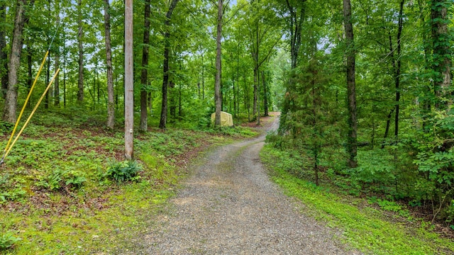 1426 Nebo Rd, Ten Mile, TN 37880 - photo 42