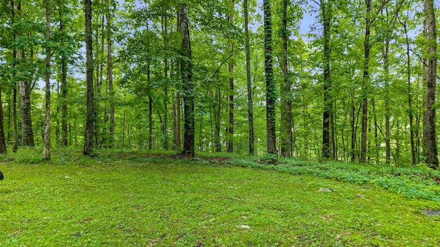 1426 Nebo Rd, Ten Mile, TN 37880 - view of yard featuring a wooded view