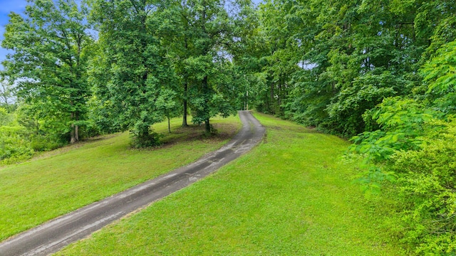 1426 Nebo Rd, Ten Mile, TN 37880 - photo 47