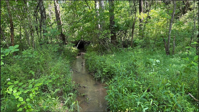 235 Acorn Gap Rd, Sweetwater, TN 37874 - photo 10
