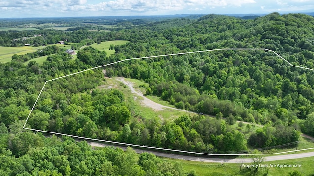 235 Acorn Gap Rd, Sweetwater, TN 37874 - photo 2