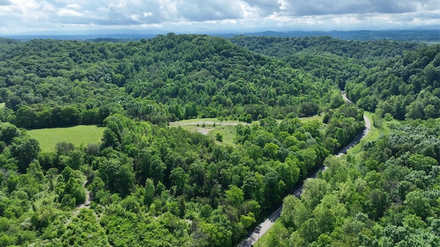 235 Acorn Gap Rd, Sweetwater, TN 37874 - photo 4