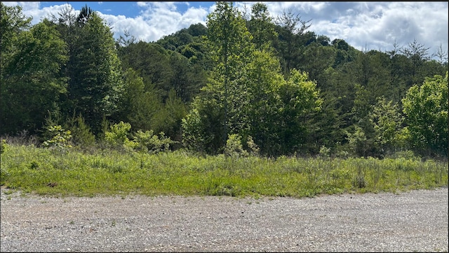 235 Acorn Gap Rd, Sweetwater, TN 37874 - photo 6