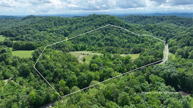 235 Acorn Gap Rd, Sweetwater, TN 37874 - photo 1