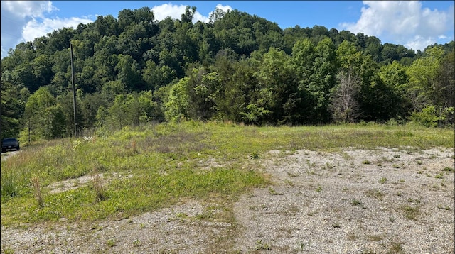 235 Acorn Gap Rd, Sweetwater, TN 37874 - photo 5