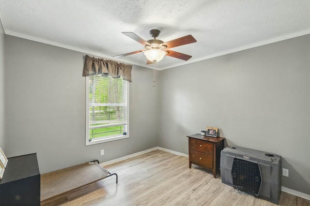 office area featuring ceiling fan, wood finished floors, and a textured ceiling