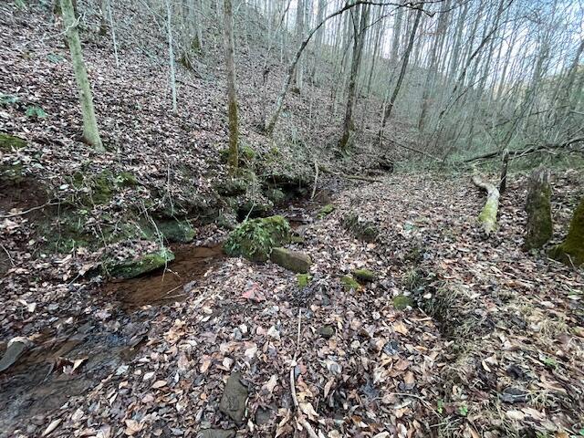 00 County Road 484, Englewood, TN 37329 - photo 10
