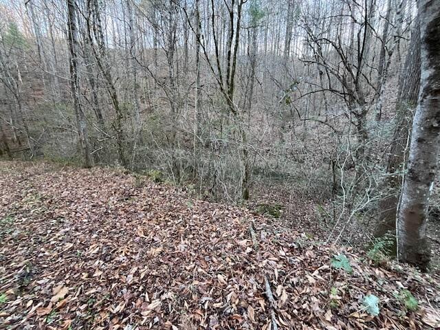 Listing photo 2 for 00 County Road 484, Englewood TN 37329