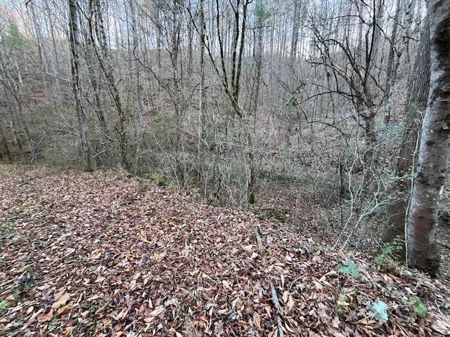 00 County Road 484, Englewood, TN 37329 - photo 2