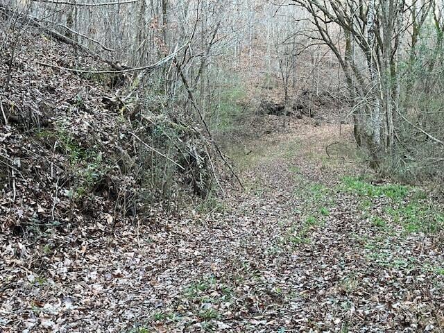 00 County Road 484, Englewood, TN 37329 - photo 14