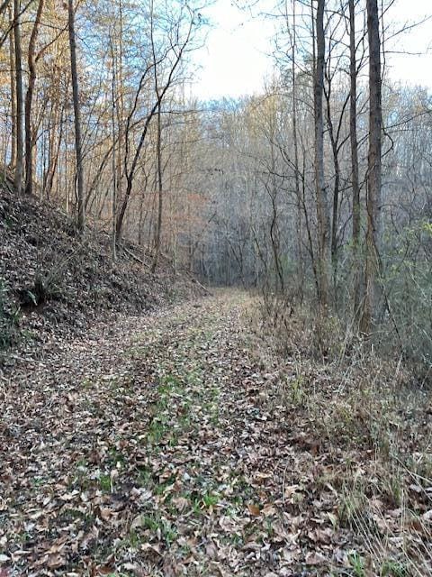 00 County Road 484, Englewood, TN 37329 - photo 5