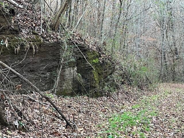 00 County Road 484, Englewood, TN 37329 - photo 13