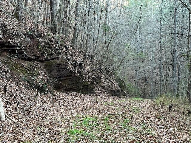 00 County Road 484, Englewood, TN 37329 - photo 6