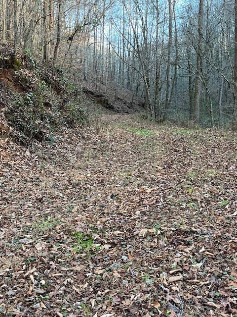 00 County Road 484, Englewood, TN 37329 - photo 7