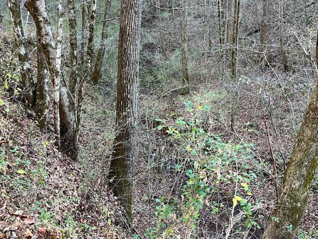 00 County Road 484, Englewood, TN 37329 - photo 8