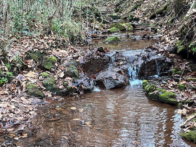 00 County Road 484, Englewood, TN 37329 - photo 1