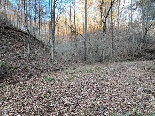 00 County Road 484, Englewood, TN 37329 - photo 4